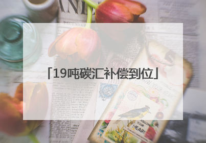 19吨碳汇补偿到位
