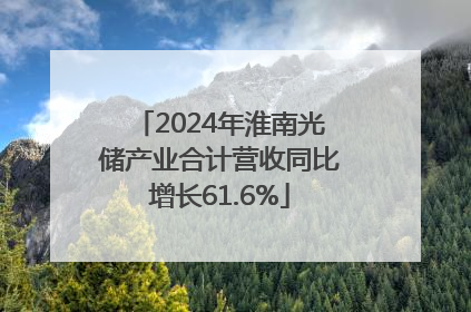 2024年淮南光储产业合计营收同比增长61.6%