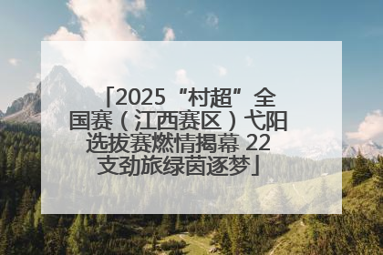 2025“村超”全国赛（江西赛区）弋阳选拔赛燃情揭幕 22支劲旅绿茵逐梦