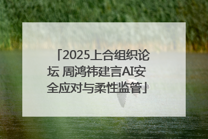 2025上合组织论坛 周鸿祎建言AI安全应对与柔性监管