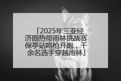 2025年三亚经济圈热带雨林挑战赛保亭站鸣枪开跑，千余名选手穿越雨林