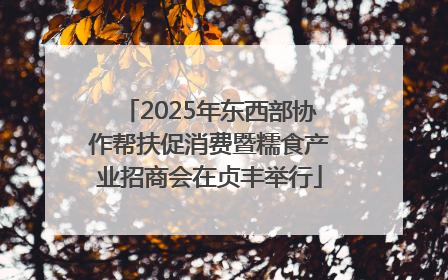 2025年东西部协作帮扶促消费暨糯食产业招商会在贞丰举行