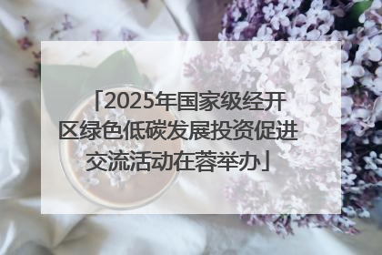 2025年国家级经开区绿色低碳发展投资促进交流活动在蓉举办