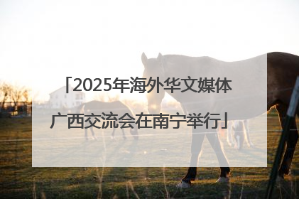 2025年海外华文媒体广西交流会在南宁举行