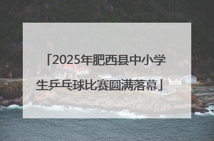 2025年肥西县中小学生乒乓球比赛圆满落幕