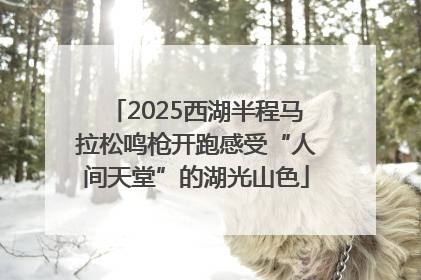 2025西湖半程马拉松鸣枪开跑感受“人间天堂”的湖光山色