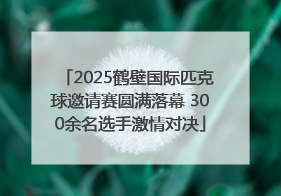 2025鹤壁国际匹克球邀请赛圆满落幕 300余名选手激情对决