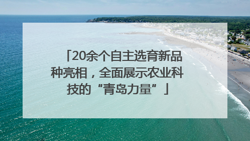 20余个自主选育新品种亮相，全面展示农业科技的“青岛力量”