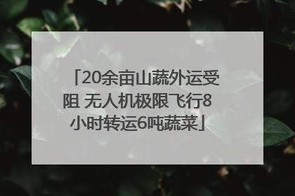 20余亩山蔬外运受阻 无人机极限飞行8小时转运6吨蔬菜