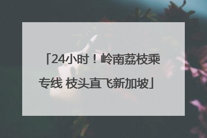 24小时！岭南荔枝乘专线 枝头直飞新加坡