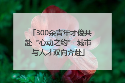 300余青年才俊共赴“心动之约” 城市与人才双向奔赴