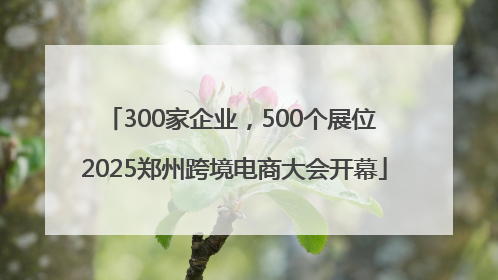 300家企业，500个展位 2025郑州跨境电商大会开幕