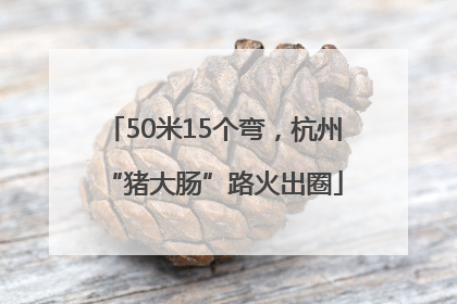 50米15个弯，杭州“猪大肠”路火出圈
