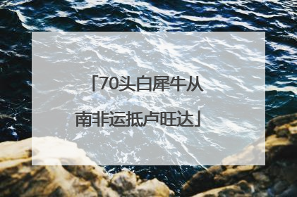 70头白犀牛从南非运抵卢旺达