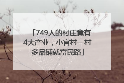 749人的村庄竟有4大产业，小官村一村多品铺就富民路