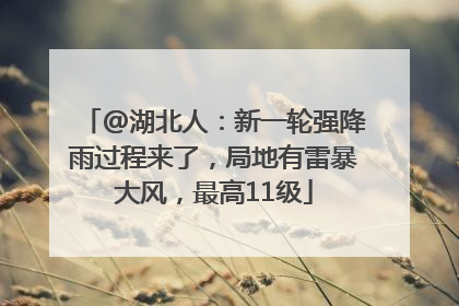 @湖北人：新一轮强降雨过程来了，局地有雷暴大风，最高11级