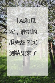 AI和瓜农，谁挑的瓜更甜？实测结果来了