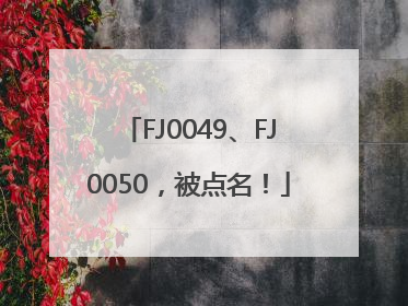 FJ0049、FJ0050，被点名！