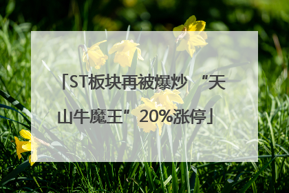 ST板块再被爆炒 “天山牛魔王”20%涨停